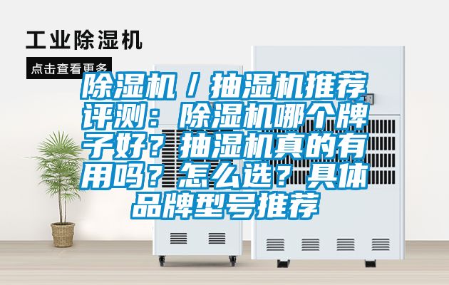 除濕機／抽濕機推薦評測：除濕機哪個牌子好？抽濕機真的有用嗎？怎么選？具體品牌型號推薦