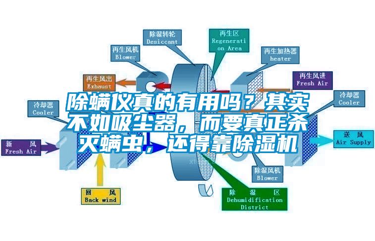 除螨儀真的有用嗎？其實(shí)不如吸塵器，而要真正殺滅螨蟲(chóng)，還得靠除濕機(jī)